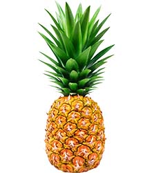 Ananas